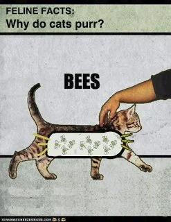 1630602543155.png