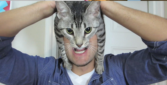1630699389904.png