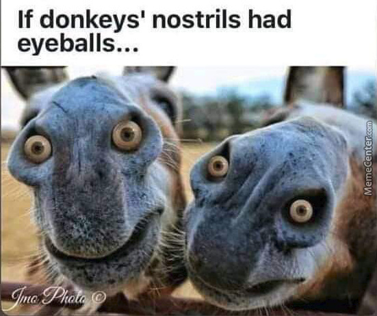 1631304397615.png