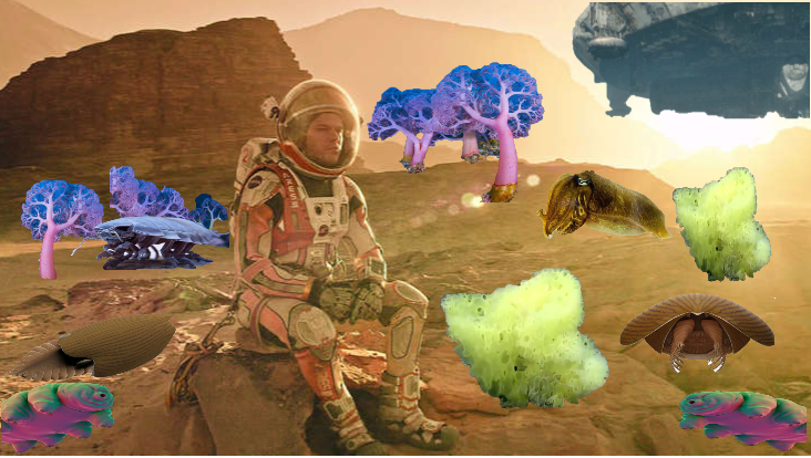 1631643457047.png