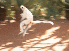 1632993763085.gif