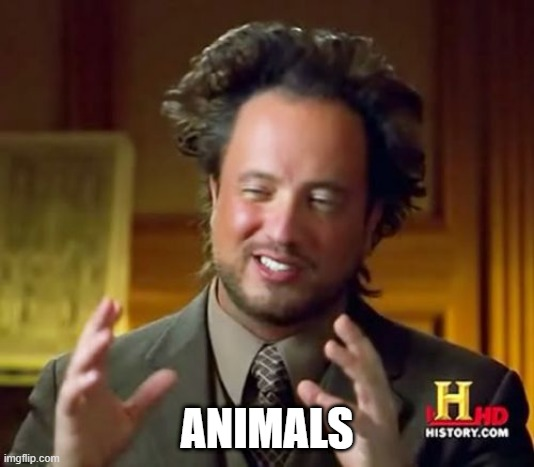 1634334005837.png