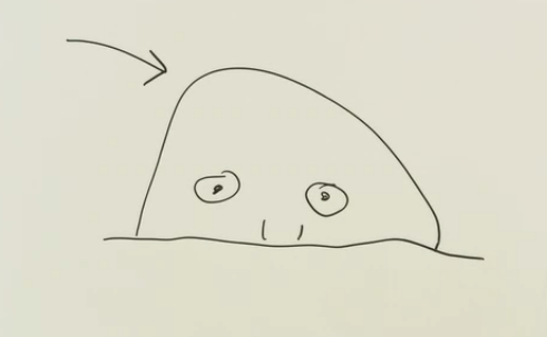 1635449196261.png