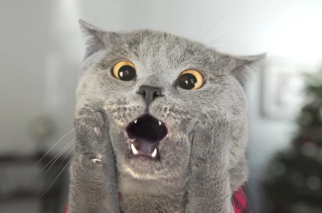 1635787833757.png