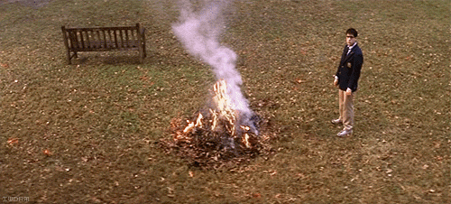 1636186850137.gif