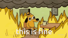1637167371266.gif