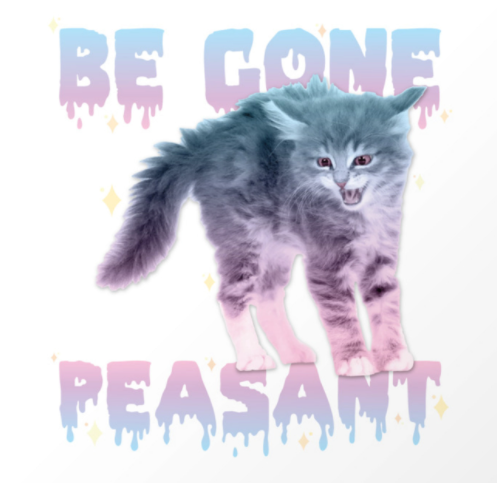 1637193961265.png