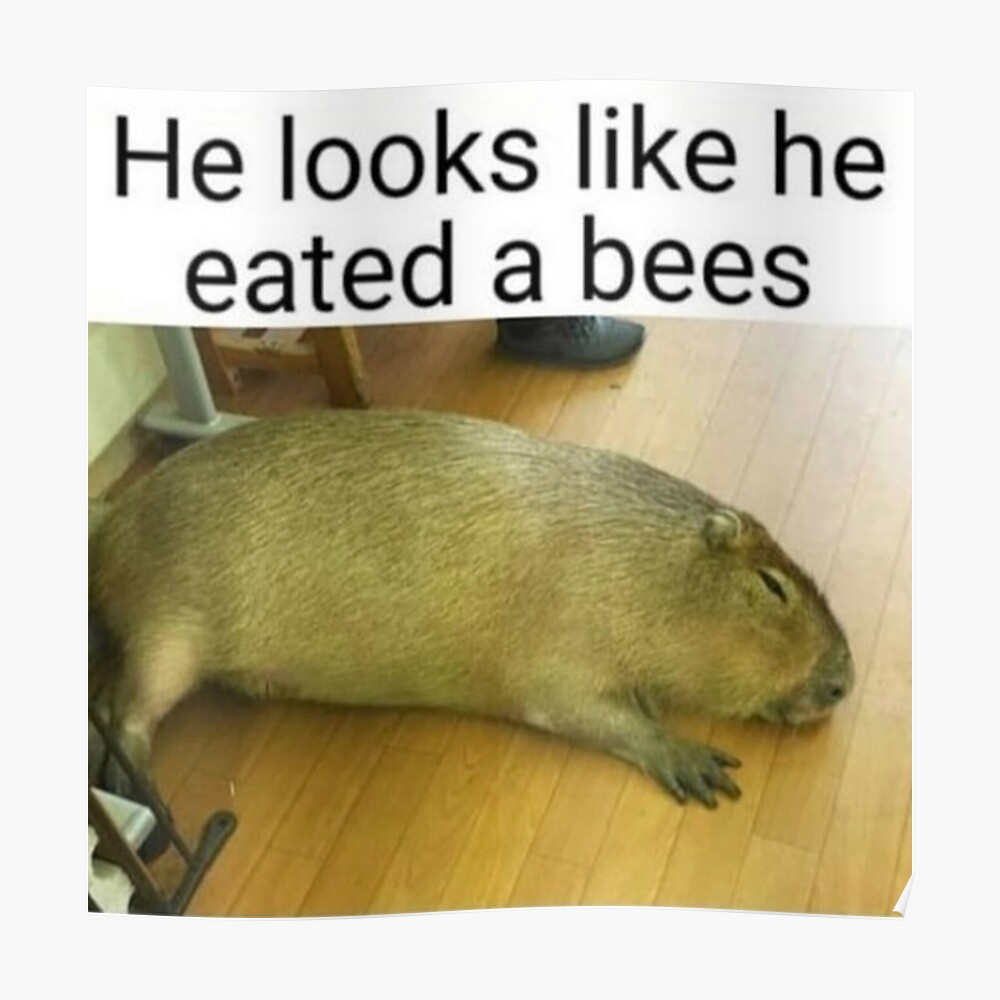 1637675322552.png
