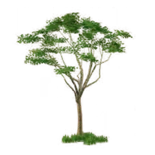 1638417186055.png