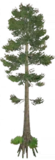 1638417235057.png