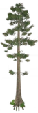 1638417244140.png
