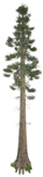 1638417255412.png
