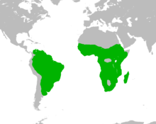 1639005333155.png