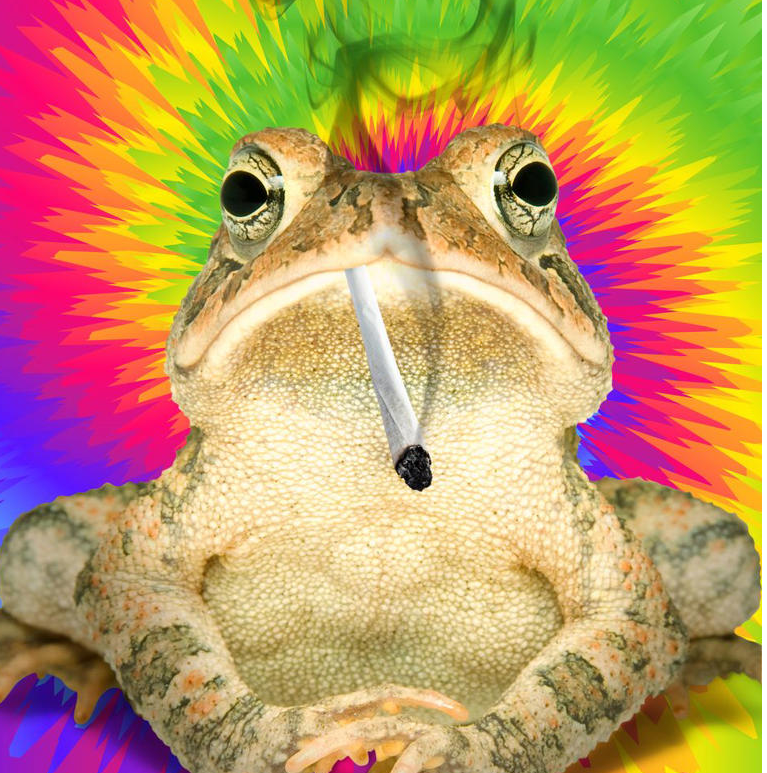 1642691656172.png