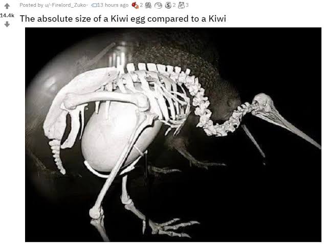 1643887700437.jpeg