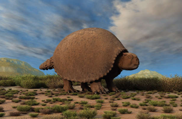 1644429774419.png