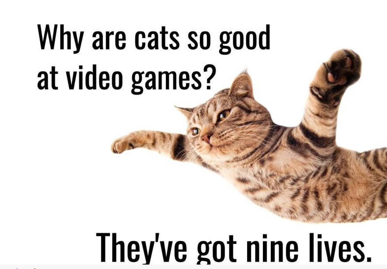 1644438176546.png