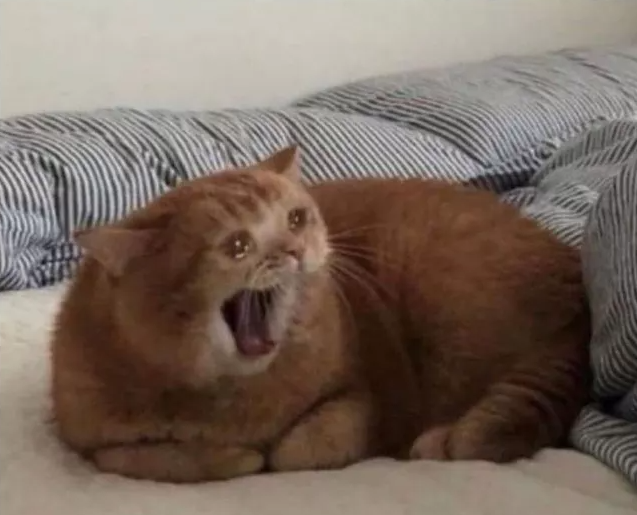 1644440030618.png