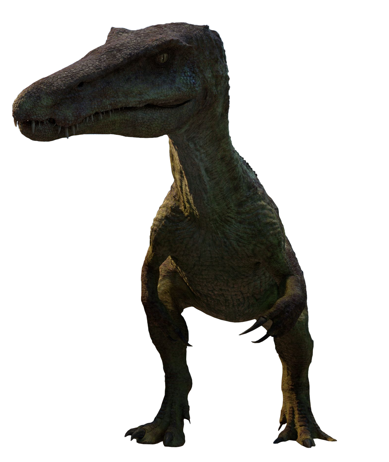 1645729446755.png