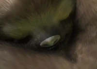 1648312272748.png