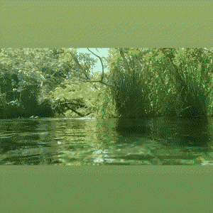 1649143172096.gif