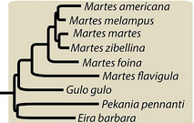 1650425898510.png