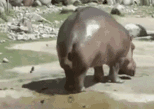 1655295909060.gif