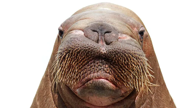 1659428703011.png