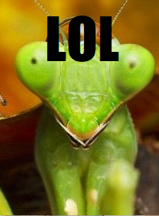 1660050105983.png