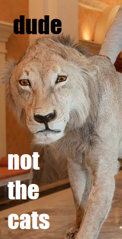 1661967191578.png