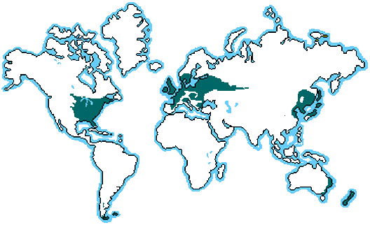 1662480497906.png