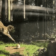 1670227628815.gif