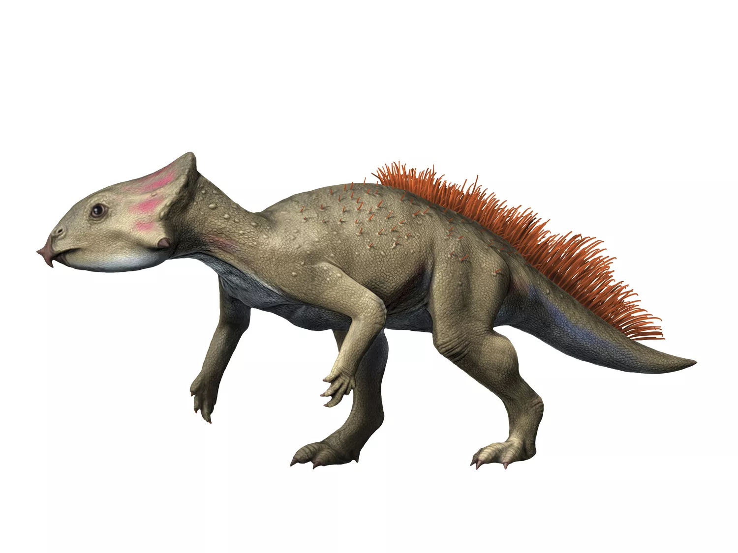 1670377165495.png