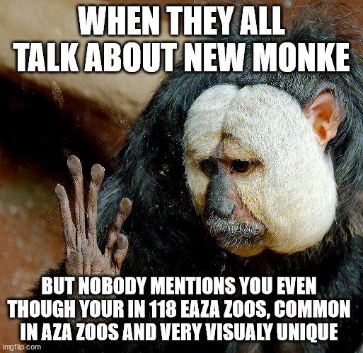 1670696023563.png