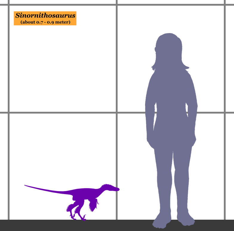 1671230951905.png