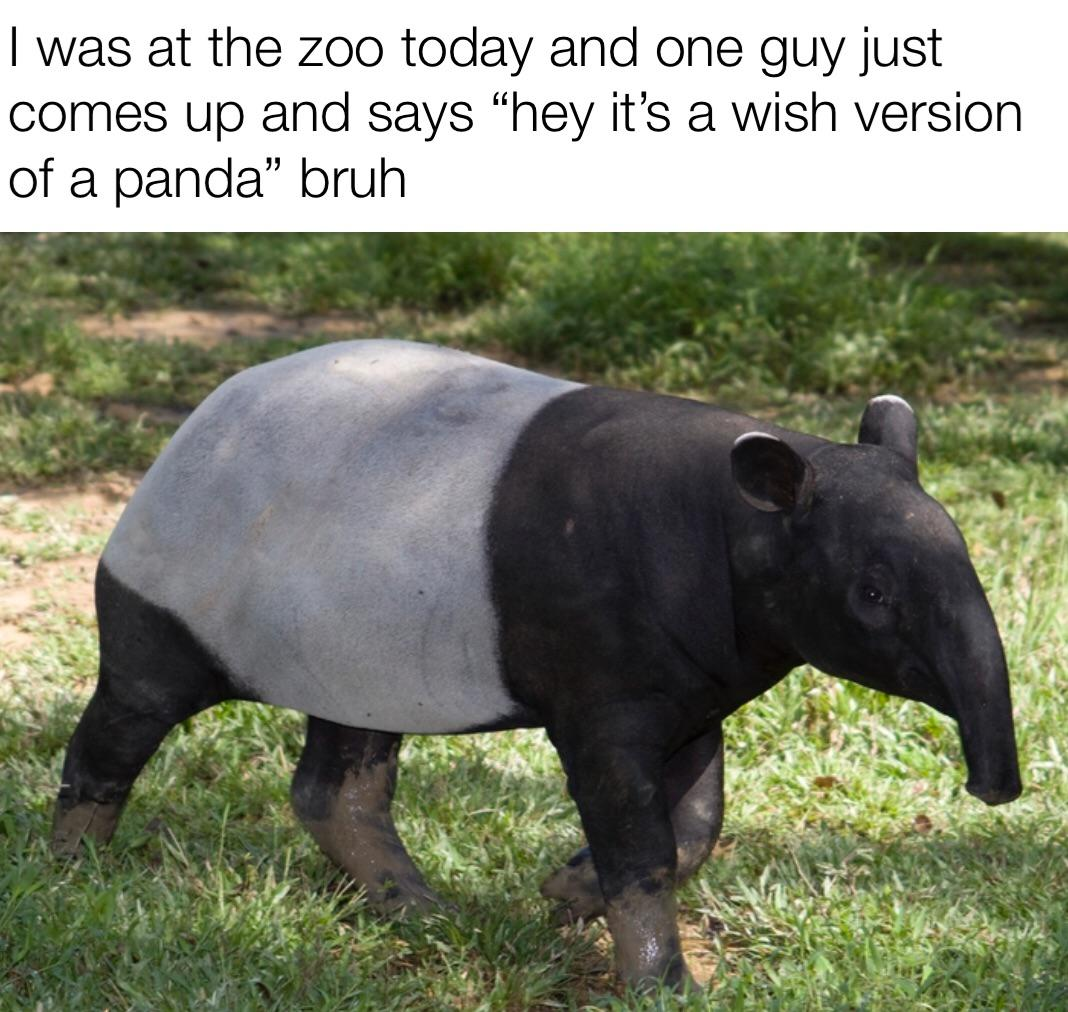 1671819396841.png
