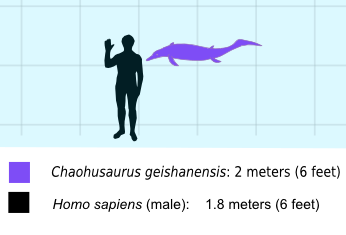 1671911920341.png