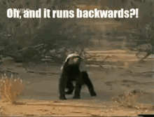 1673797696715.gif