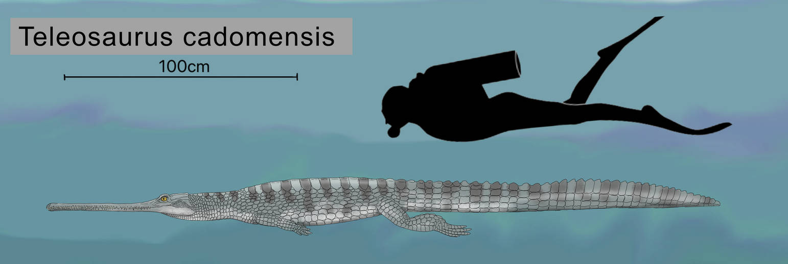 1674402462071.png