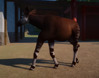 1675526900755.png