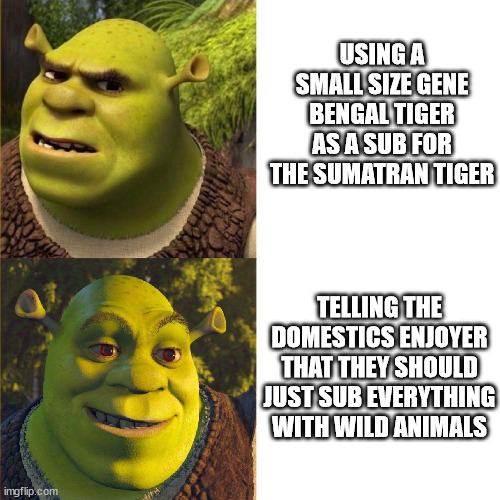 1678639381907.png