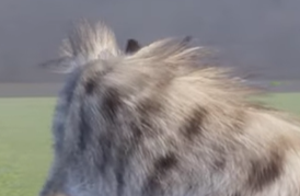 1678695201610.png