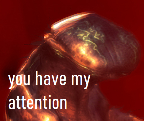 1678903518609.png