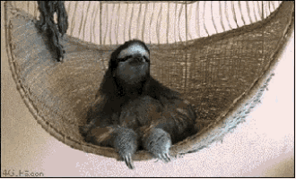 1680550168206.gif