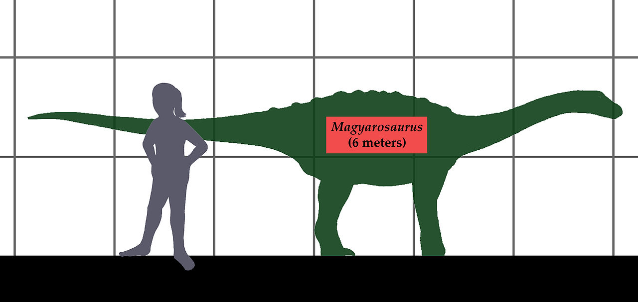 1680643938558.png