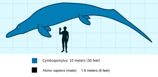 1680995538020.png