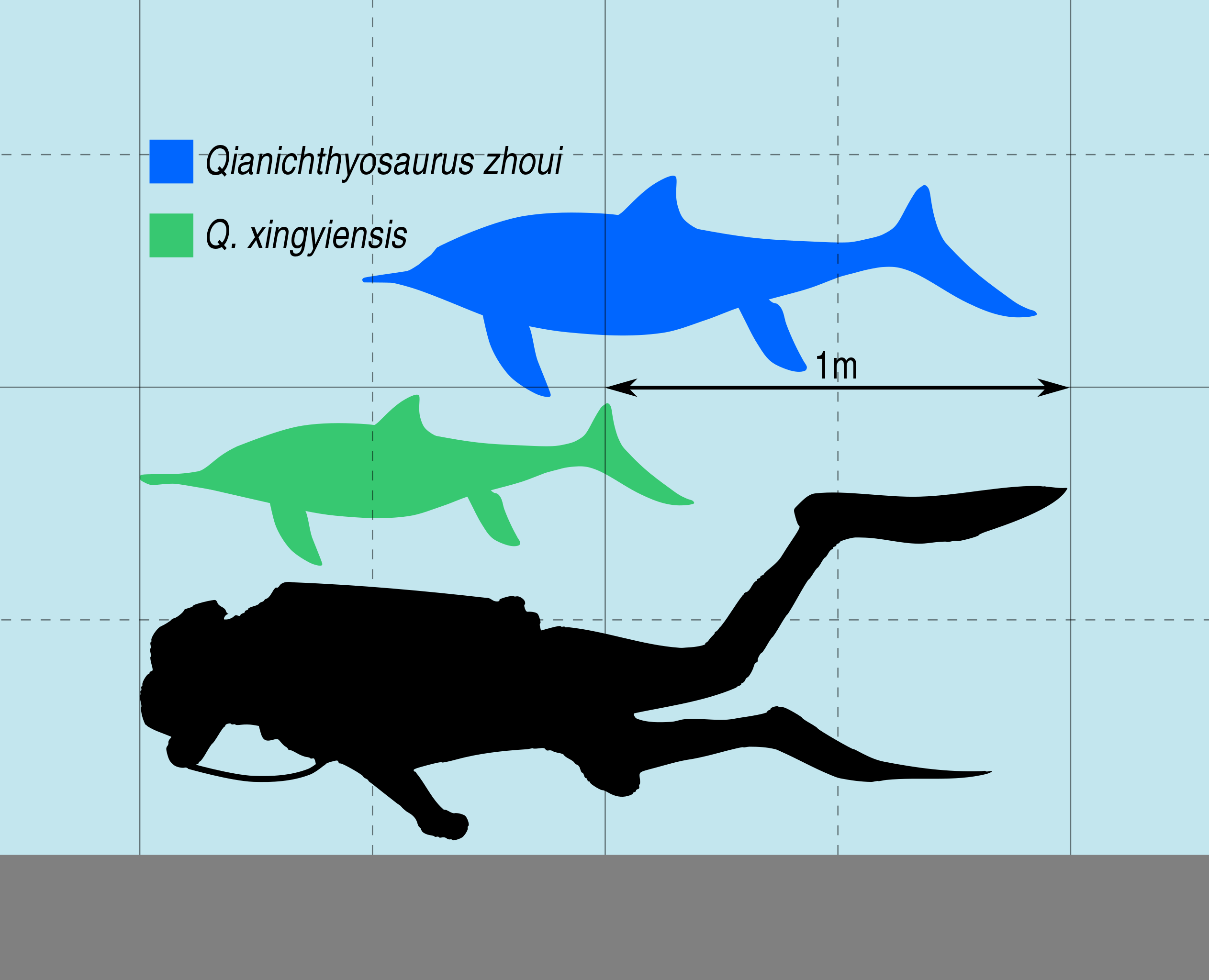 1681006655545.png