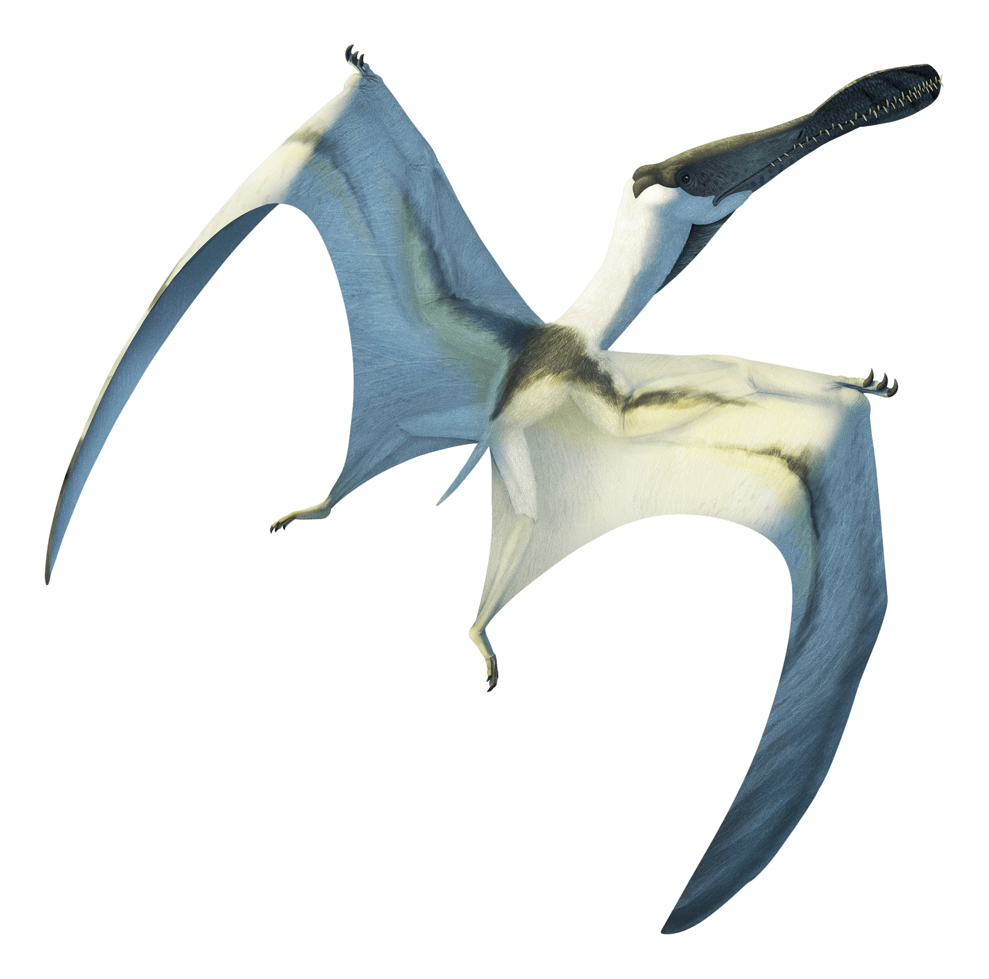 1682093100529.png