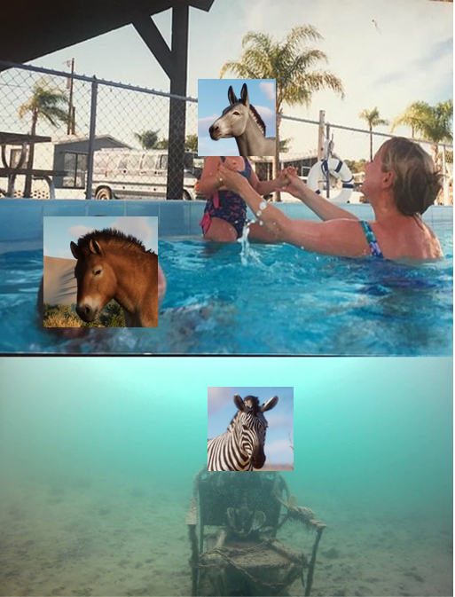 1686412384787.png