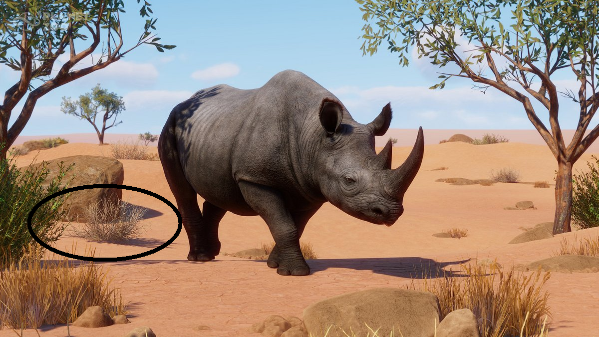 Zo Planet носорог ВОЛБЕР. Black Rhino Australia. Horn Viper. Black Rhino York.